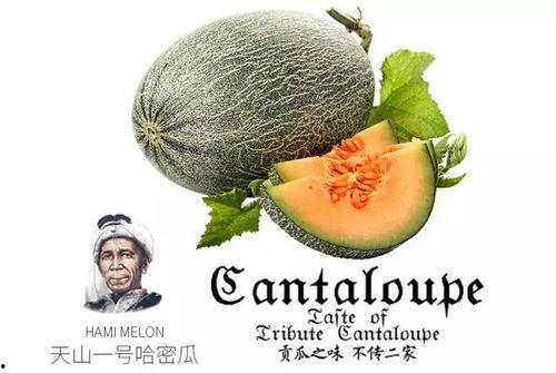 娱乐吃瓜配乐推荐